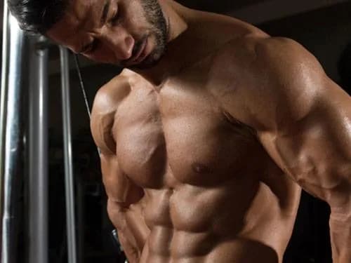 Beta alanina przed czy po treningu – najlepszy czas na suplementację Beta alanina przed czy po treningu – najlepszy czas na suplementację